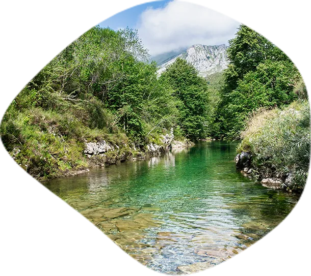 清流の画像