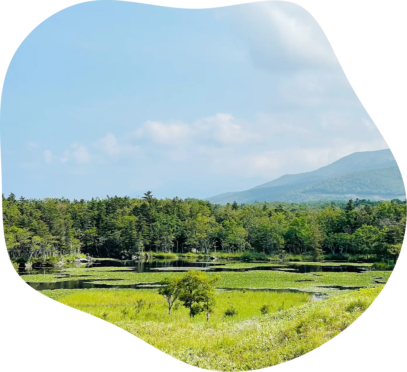 弥石の風景の写真